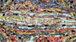 Fourth of 'reflets — paint synthesiser classic — 2.0 collection movie brush 1'.