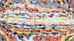 Fifth of 'reflets — paint synthesiser classic — 2.0 collection movie brush 1'.