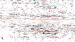 Sixth of 'reflets — paint action sequence — movie procs'.