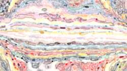 First of 'reflets — paint synthesiser classic — users cd media presets 2002 19'.