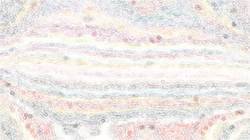 Third of 'reflets — paint synthesiser classic — users cd media presets 2002 20'.