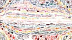 First of 'reflets — paint synthesiser classic — users cd media presets 2002 5'.