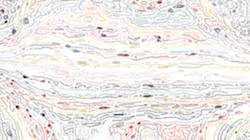 Third of 'reflets — paint synthesiser classic — users cd media presets 2002 6'.