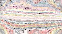 Sixth of 'reflets — paint synthesiser classic — users cd media presets 2002 8'.