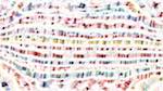 First of 'reflets — paint action sequence — movie proc use layers'.