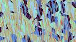 Fifth of 'zz msg presets msg 3 39'.