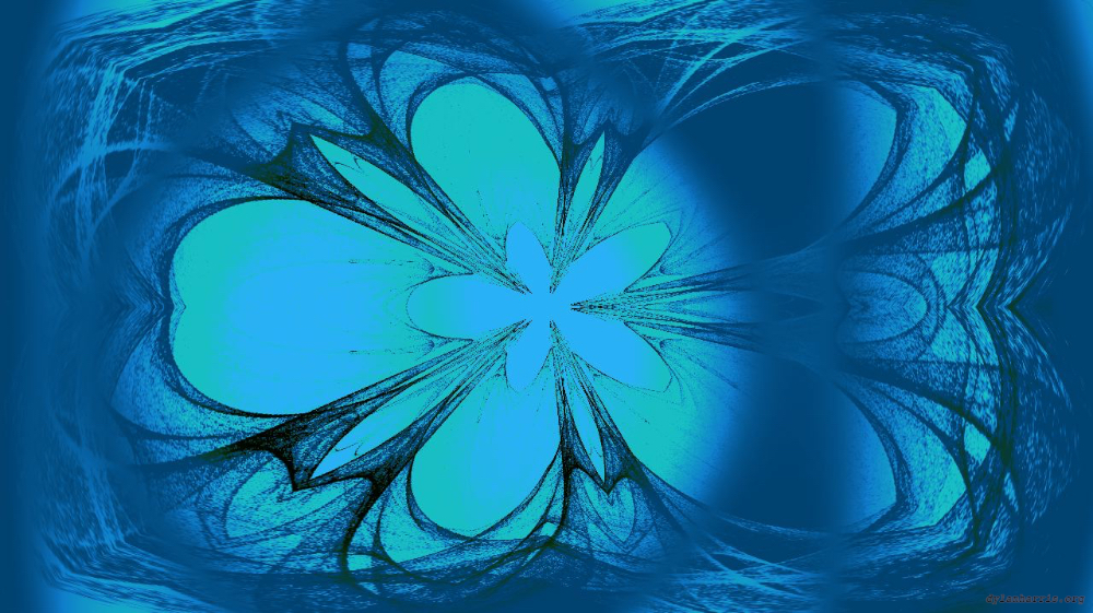 image: an image