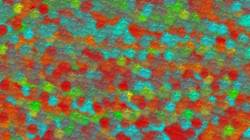 Seventh of 'reflets — paint synthesiser classic — 3.0 collection msg paint 1 5'.