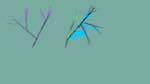 Fifth of 'reflets — msg — variations 1 msg to test 2'.