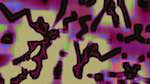 Second of 'reflets — msg — variations 1 msg to test 9'.