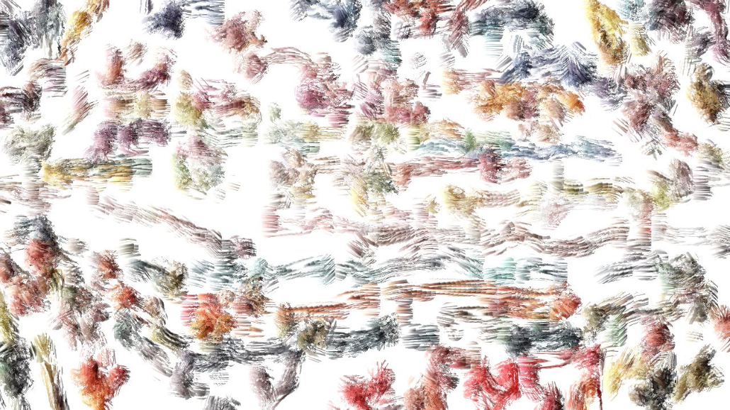 image: an image