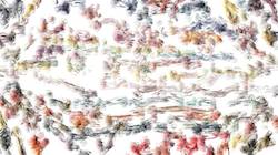 image: an image