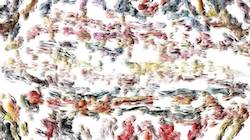 image: an image