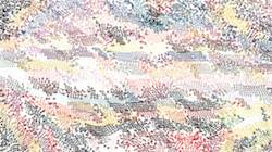 image: an image