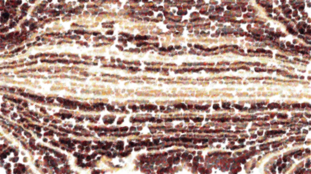 Image 'reflets — paint synthesiser classic — users nagel 11 3 3'.