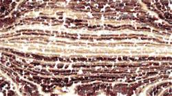 Third of 'reflets — paint synthesiser classic — users nagel 11 3'.