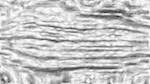 Fourth of 'reflets — msg — users nagel 4'.