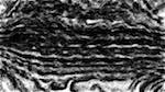 Second of 'reflets — paint synthesiser classic — users nagel 4 4'.