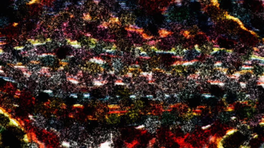 Image 'reflets — paint synthesiser classic — users nagel 6 2 6'.