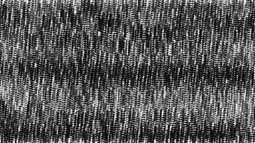 image: an image