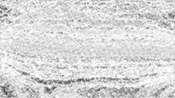 image: an image