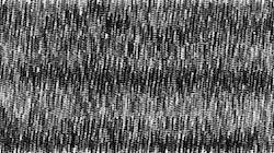 image: an image
