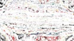 image: an image