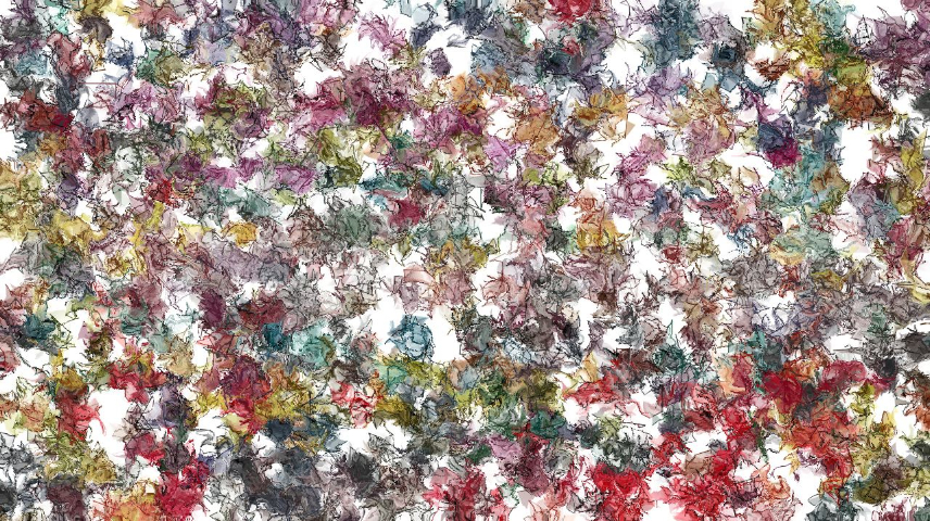 Image '4.0 B collection new 1 3 3'.