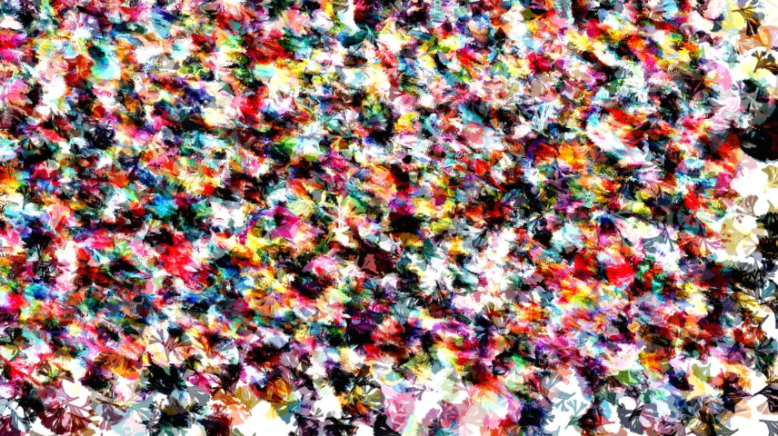 image: an image