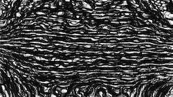 image: an image