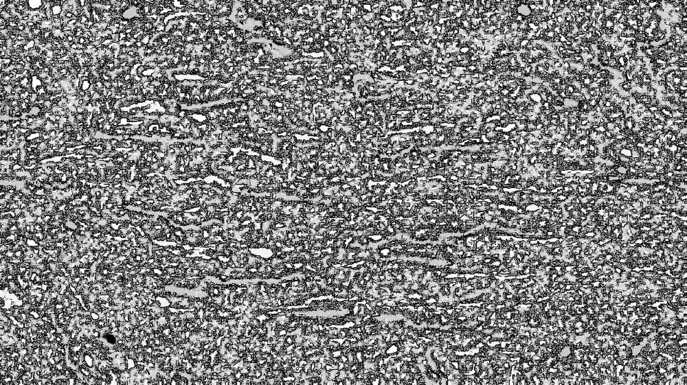 Image 'reflets — dualmode paint — new new 2 1 5'.
