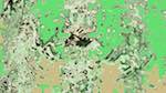 Second of 'reflets — msg — variations 1 new f 4'.