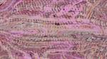 Third of 'reflets — msg — variations 1 new f 7'.