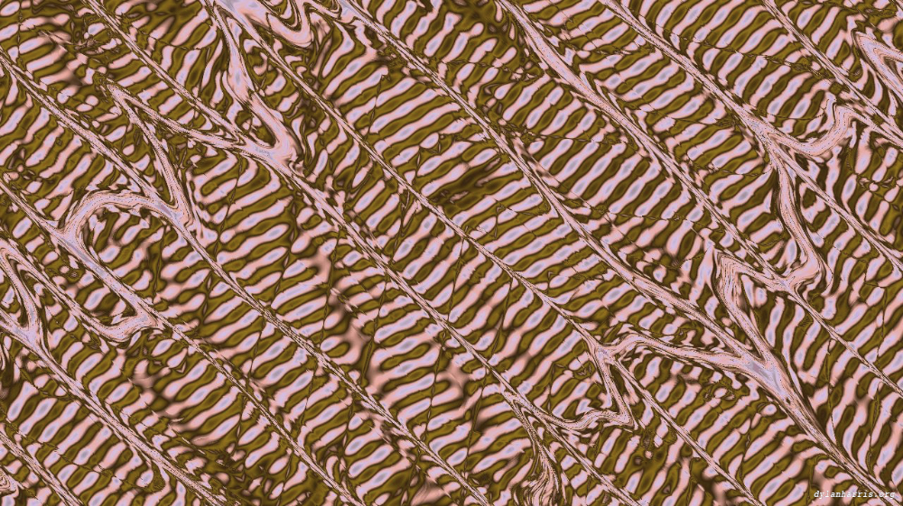 Image 'reflets — msg — variations 1 new f 8 5'.