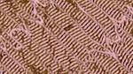 Fifth of 'reflets — msg — variations 1 new f 8'.