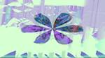 Second of 'reflets — msg — variations 1 new g 3'.