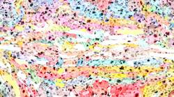 Second of 'reflets — paint synthesiser classic — 4.0 collection new msg paint 1'.
