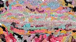 First of 'reflets — paint synthesiser classic — 4.0 collection new msg paint 2'.