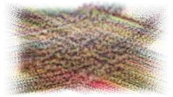 Seventh of '4.0 B collection new live extend ex 1'.