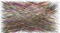 Fifth of '4.0 B collection new live extend ex 5'.
