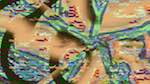 Third of 'reflets — msg — variations 2 new 12 5'.