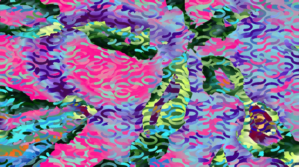 image: an image