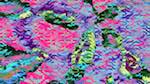 Sixth of 'reflets — msg — variations 2 new 12 7'.