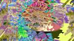 First of 'reflets — msg — variations 2 new 16 9'.