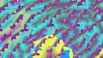 Fifth of 'reflets — msg — variations 2 new 6 12'.