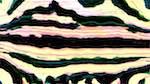 Fifth of 'reflets — msg — variations 2 new 6 14'.
