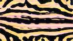 Sixth of 'reflets — msg — variations 2 new 6 14'.