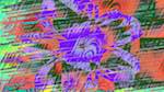 First of 'reflets — msg — variations 2 new 7 10'.