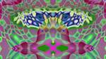 Fourth of 'reflets — msg — variations 2 new 8 10'.
