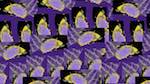Eighth of 'reflets — msg — variations 2 new 8 10'.
